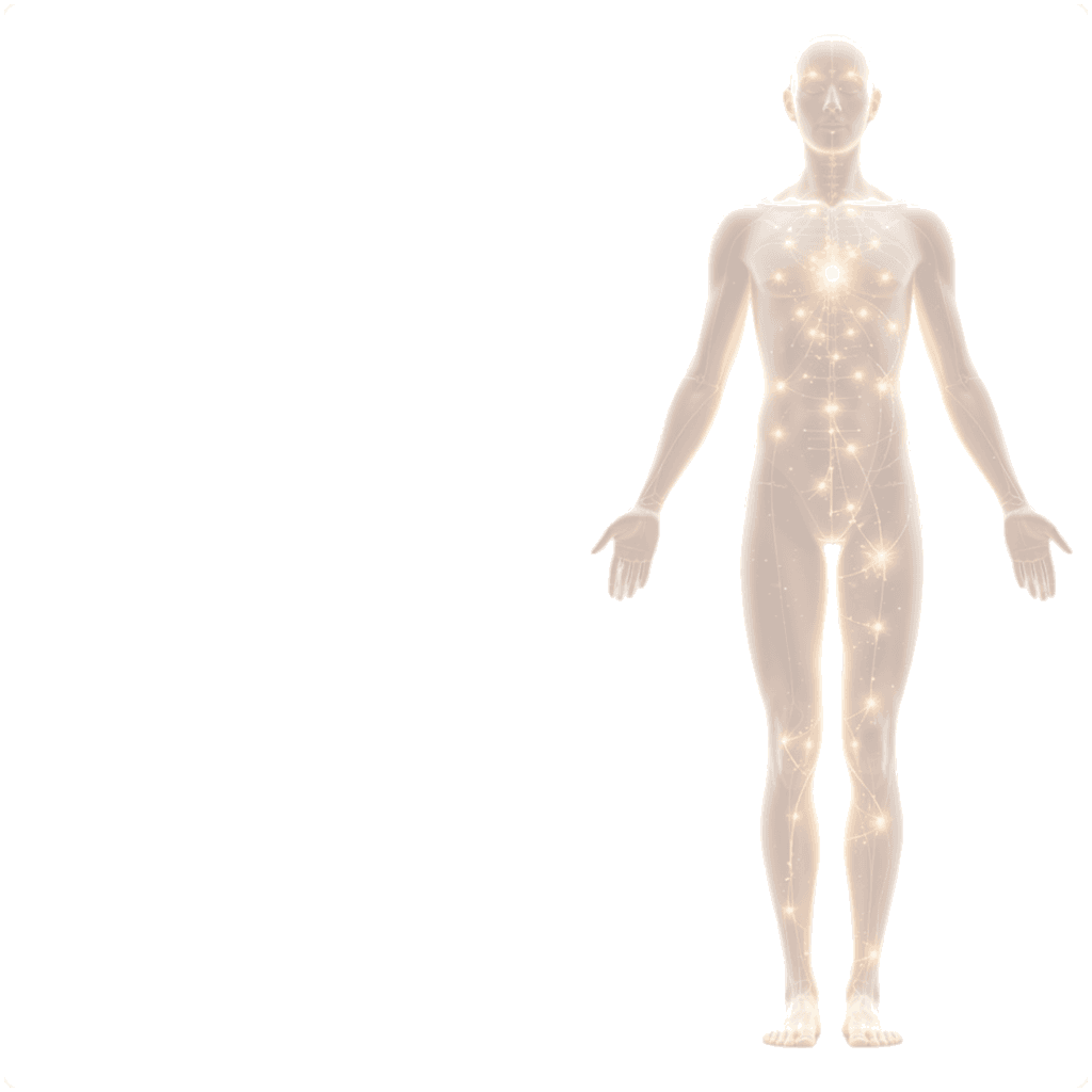 Metabolic restoration silhouette