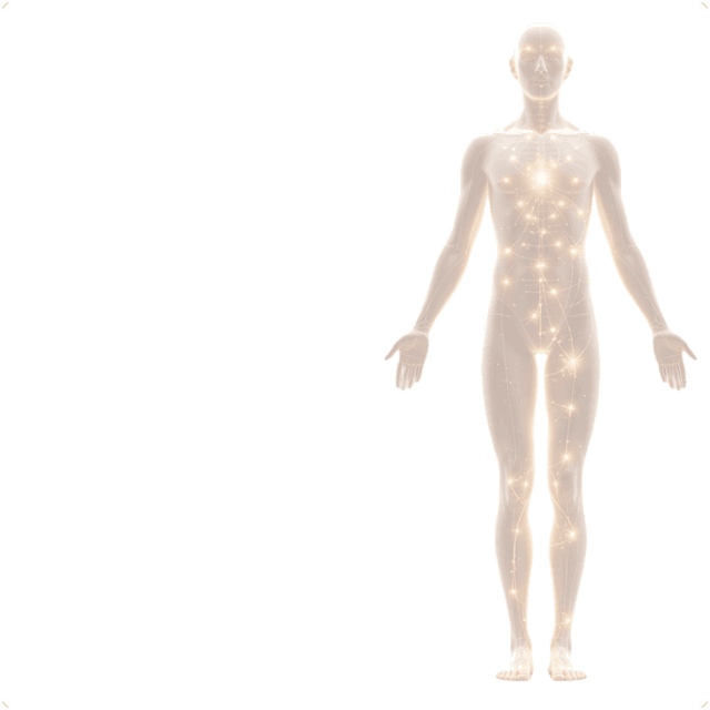 Human body silhouette