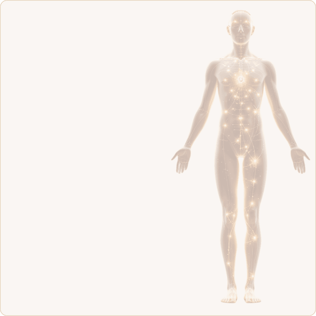 Metabolic Health & Body Composition